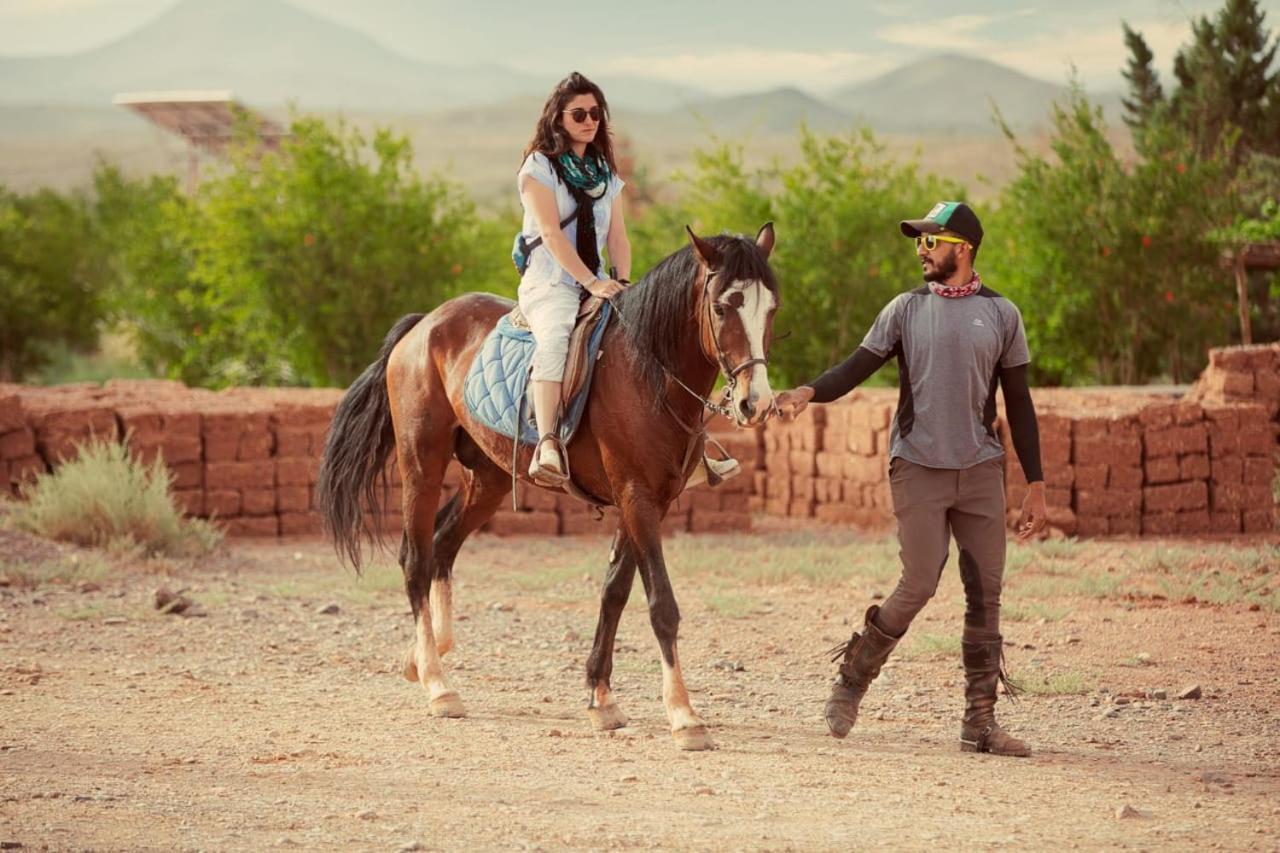 Ecolodge L'Ile De Ouarzazate Eksteriør bilde