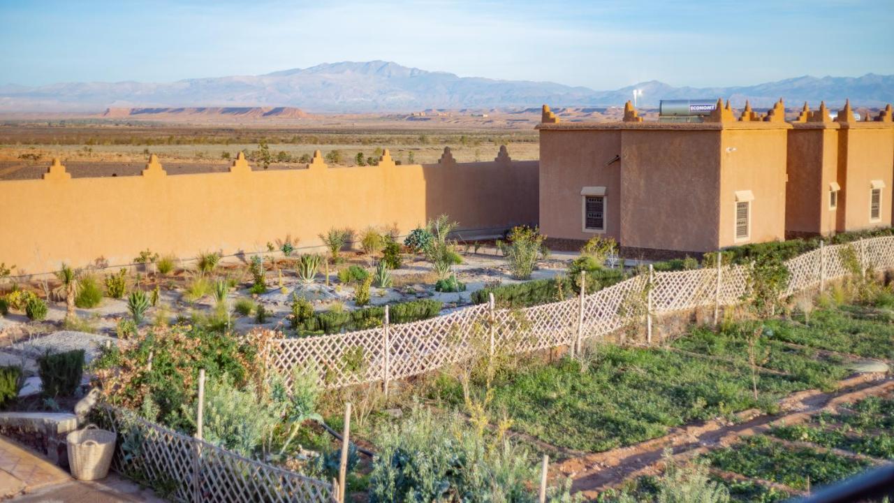 Ecolodge L'Ile De Ouarzazate Eksteriør bilde