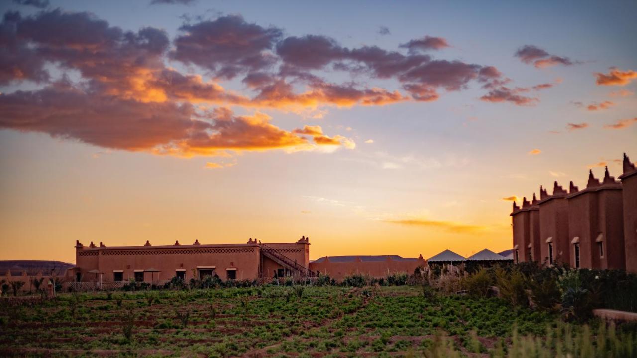 Ecolodge L'Ile De Ouarzazate Eksteriør bilde