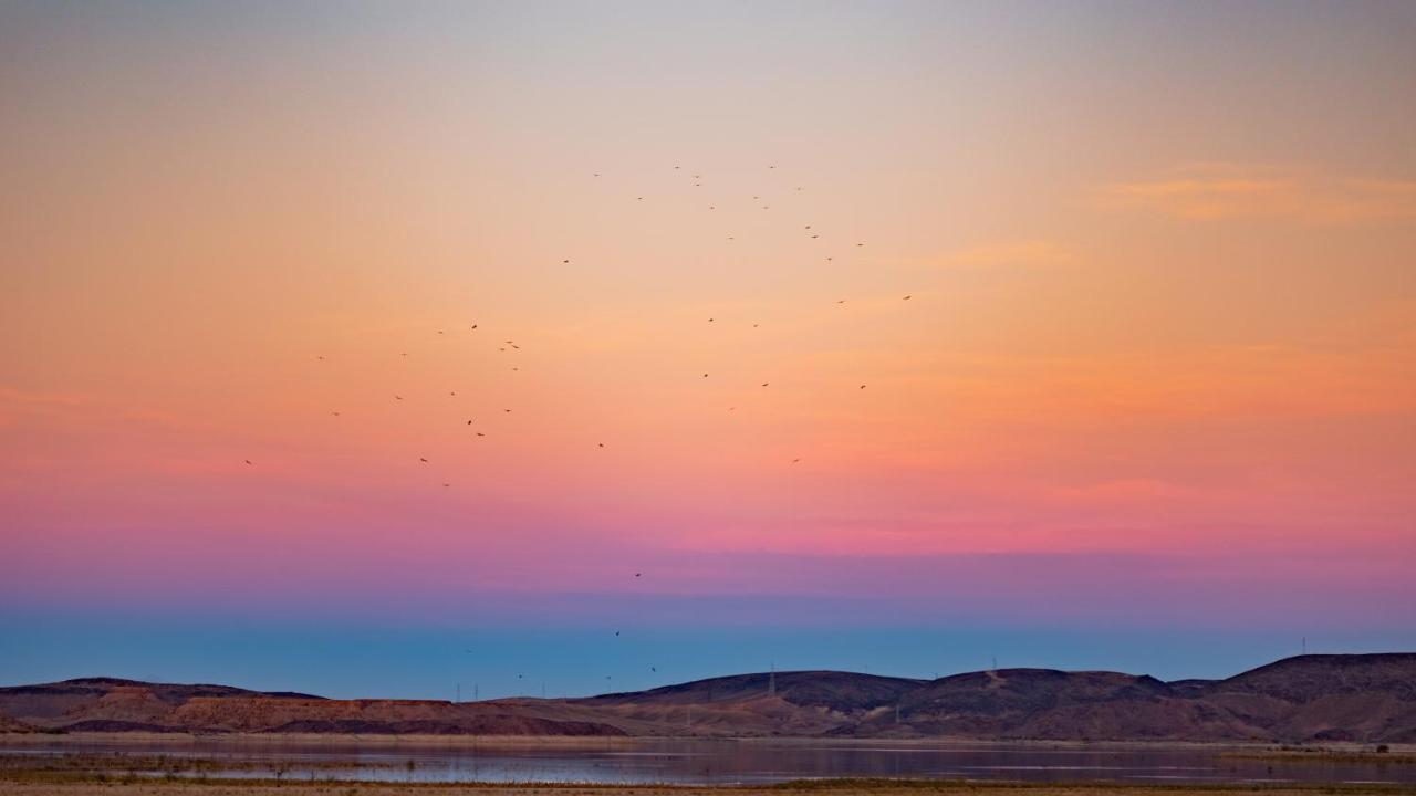 Ecolodge L'Ile De Ouarzazate Eksteriør bilde
